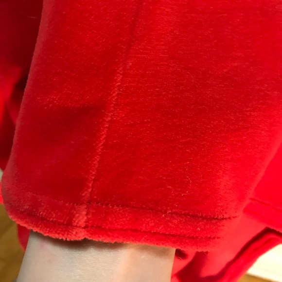 Vintage Red Velour Mary Rose Dress - Picture 4 of 5